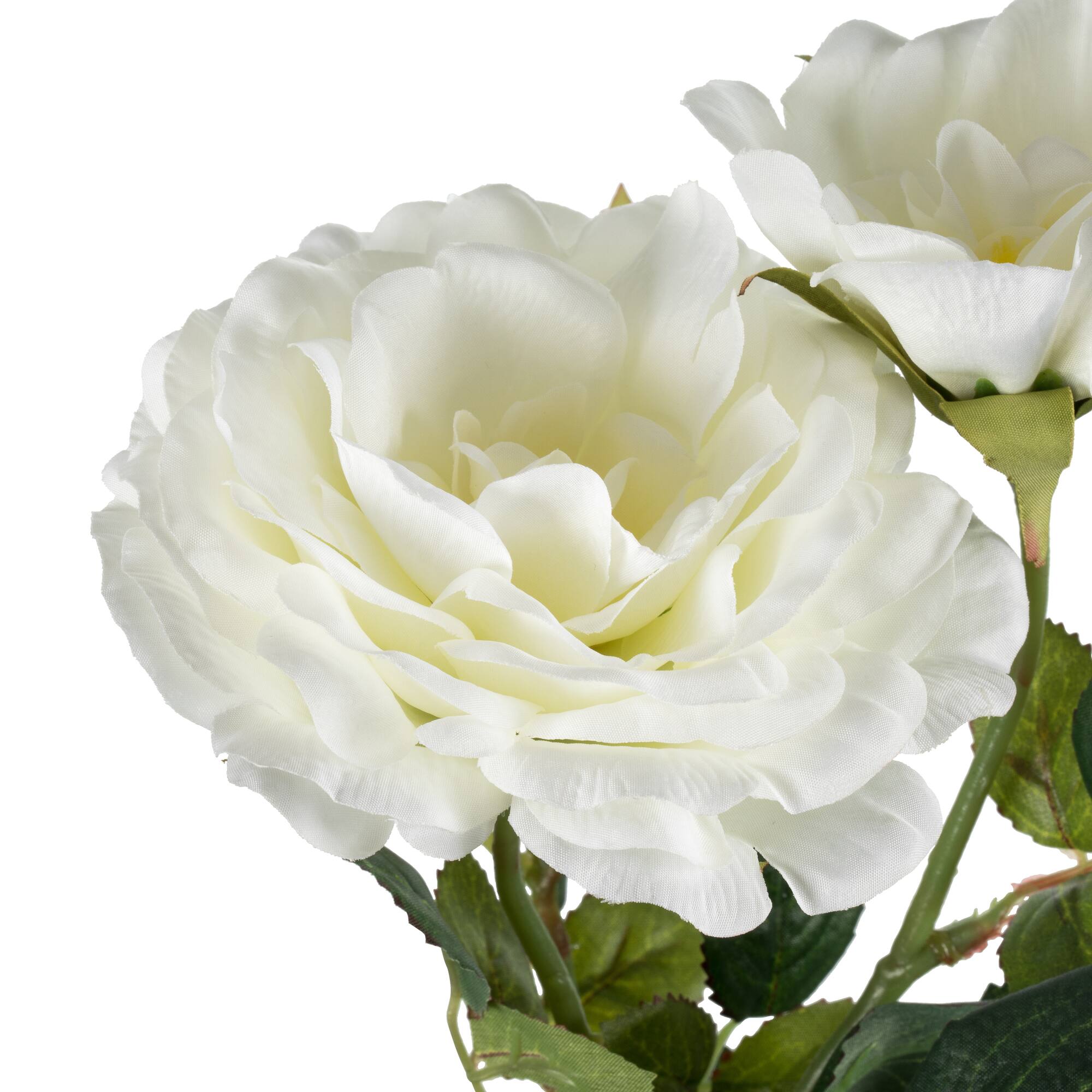 White Rose Stem, 3ct.